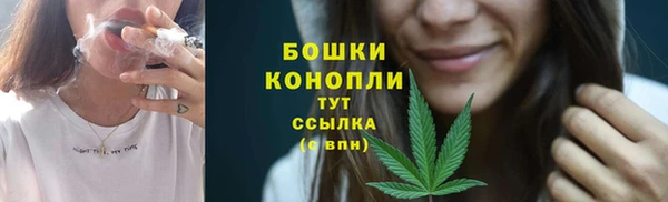 ECSTASY Инсар