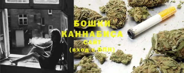 молекула духа Козельск