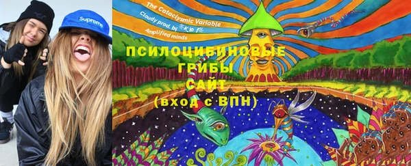 apvp Абинск